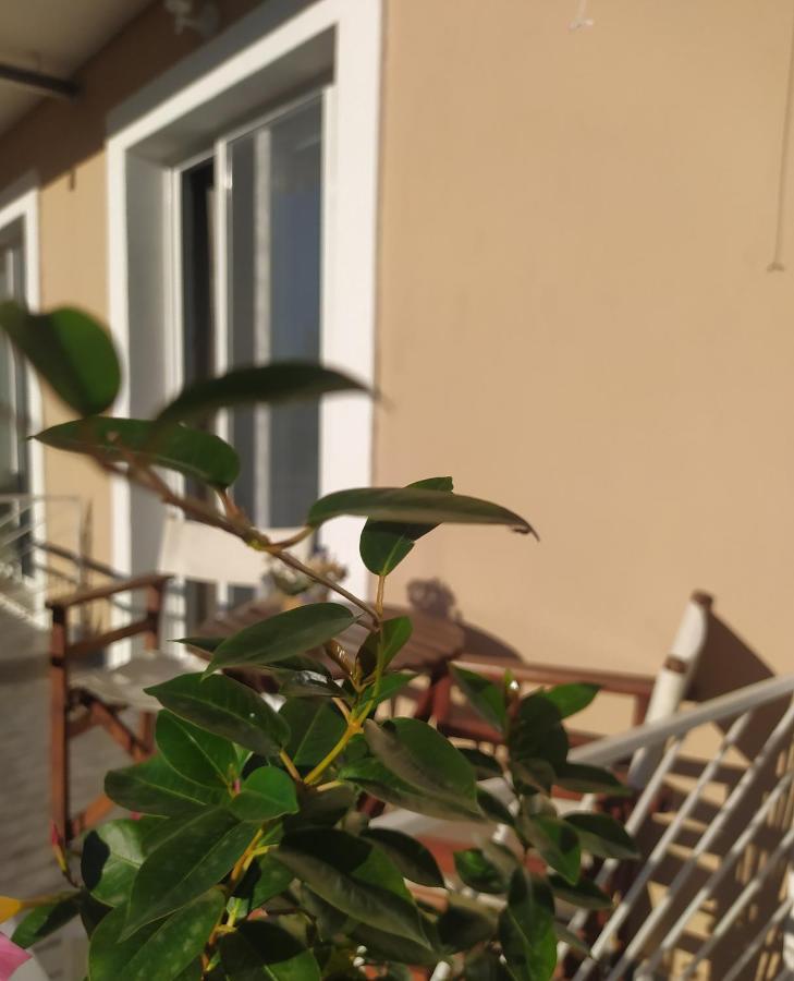 Apartmani Vico Херцег Нови Екстериор снимка
